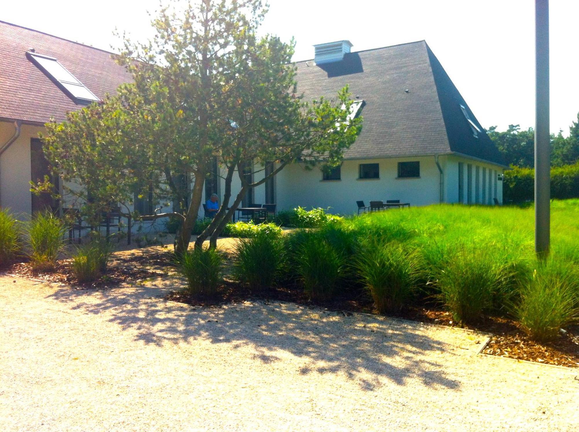 Haus Dohrmann - Mit Direktem Strandzugang,Moderne, Ruhig Gelegene Ferienwohnungen Mit Terrasse Binz Buitenkant foto