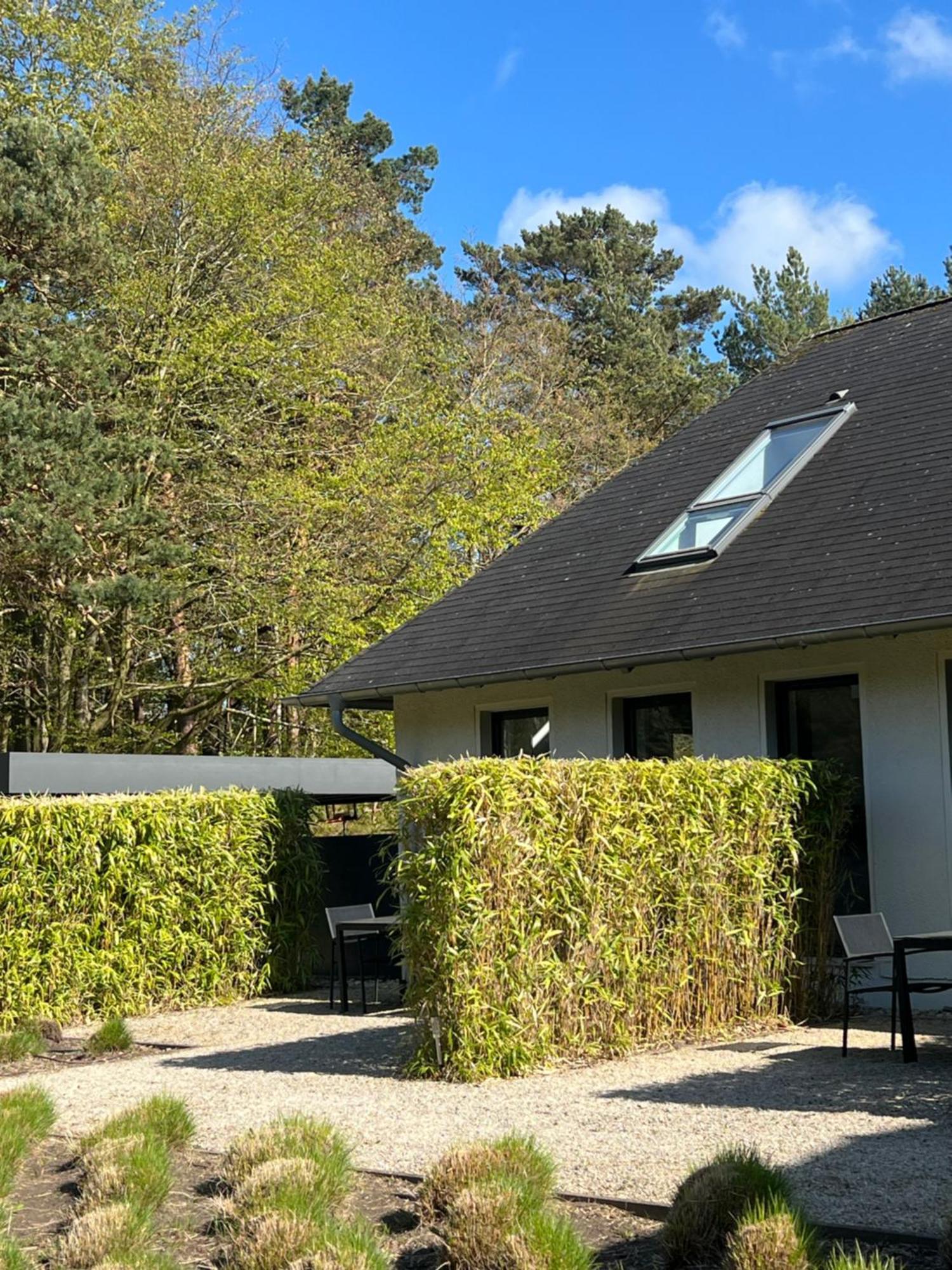 Haus Dohrmann - Mit Direktem Strandzugang,Moderne, Ruhig Gelegene Ferienwohnungen Mit Terrasse Binz Buitenkant foto