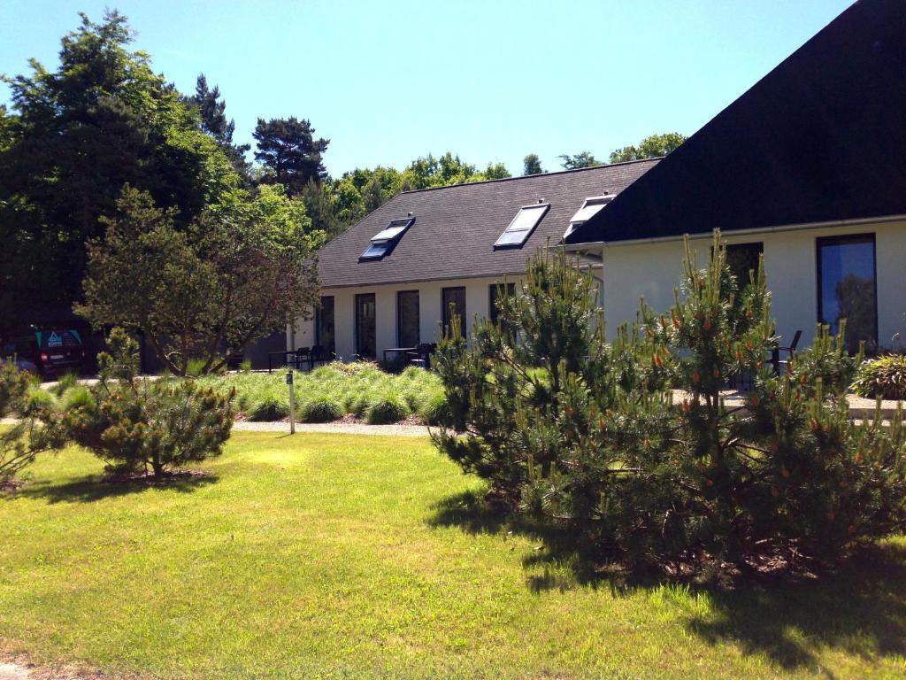 Haus Dohrmann - Mit Direktem Strandzugang,Moderne, Ruhig Gelegene Ferienwohnungen Mit Terrasse Binz Buitenkant foto
