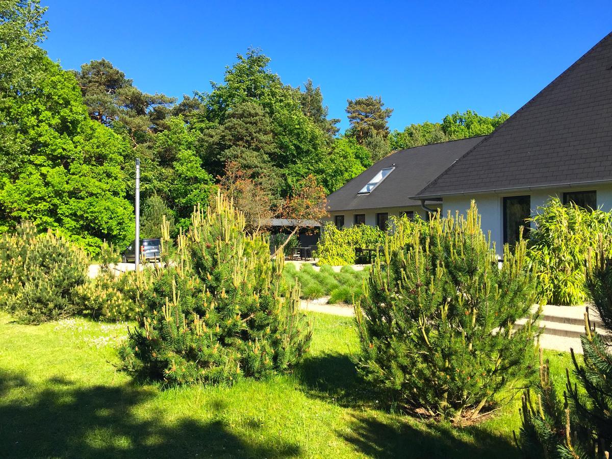 Haus Dohrmann - Mit Direktem Strandzugang,Moderne, Ruhig Gelegene Ferienwohnungen Mit Terrasse Binz Buitenkant foto